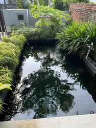 Seletar Hills Drive (D28), Semi-Detached #436726421
